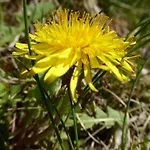 Bauernhof Klausbauer