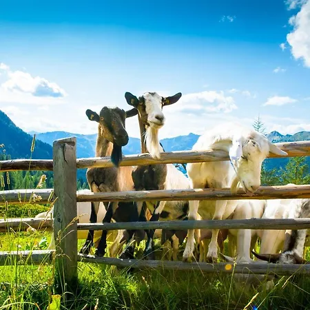 Bauernhof Klausbauer Daire *