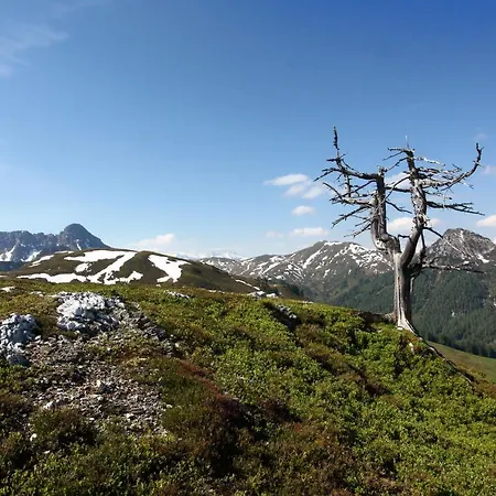 Bauernhof Klausbauer *