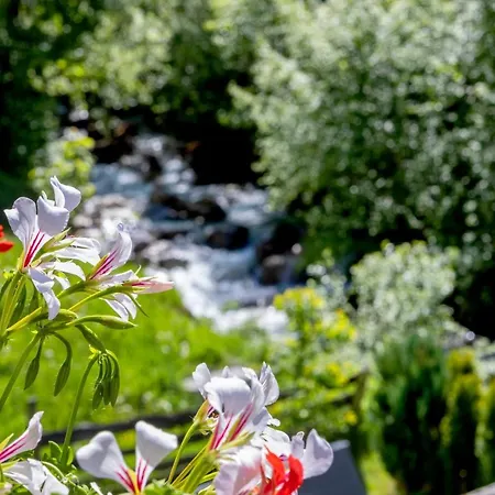 Bauernhof Klausbauer * Grossarl