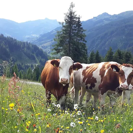 Bauernhof Klausbauer Апартаменты Гроссарль