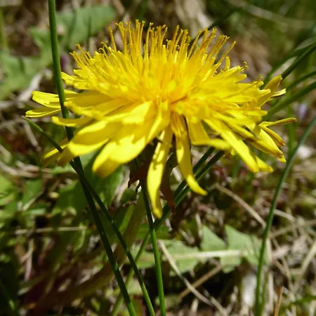 Bauernhof Klausbauer
