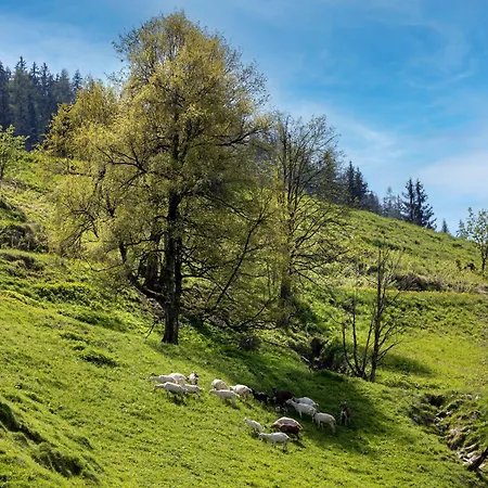 Bauernhof Klausbauer Гроссарль