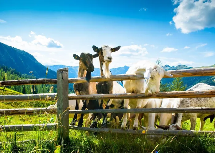 Bauernhof Klausbauer Lägenhet *