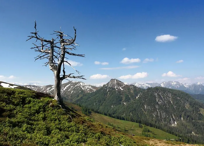 Bauernhof Klausbauer Lägenhet *