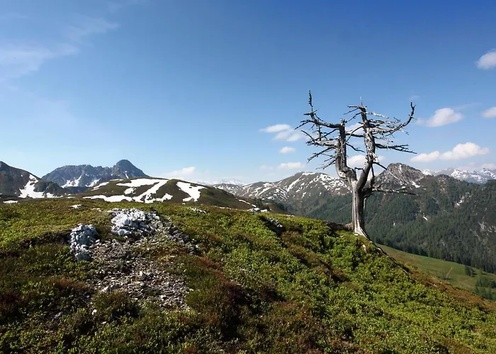 Bauernhof Klausbauer *