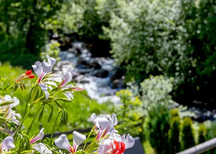 Bauernhof Klausbauer * 格罗萨尔