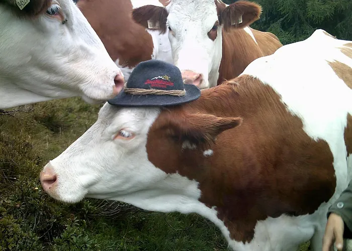 Bauernhof Klausbauer * Grossarl