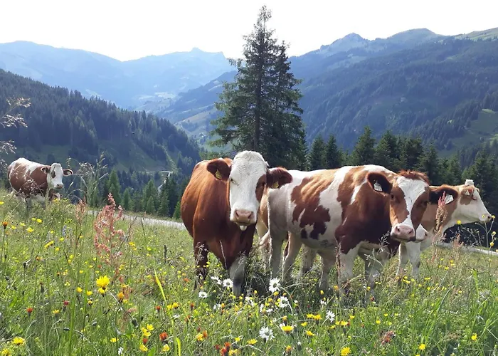 Bauernhof Klausbauer Lejlighed Grossarl