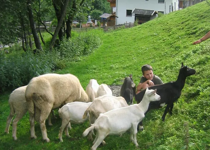 公寓 Bauernhof Klausbauer 格罗萨尔