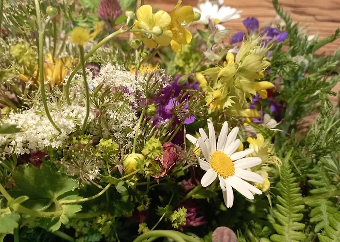 Bauernhof Klausbauer *