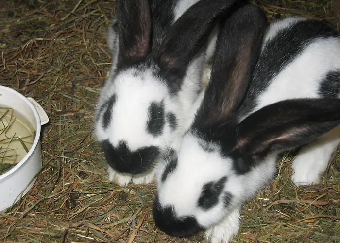 Bauernhof Klausbauer 格罗萨尔