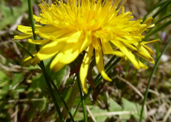 Bauernhof Klausbauer
