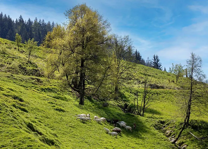 Bauernhof Klausbauer Grossarl