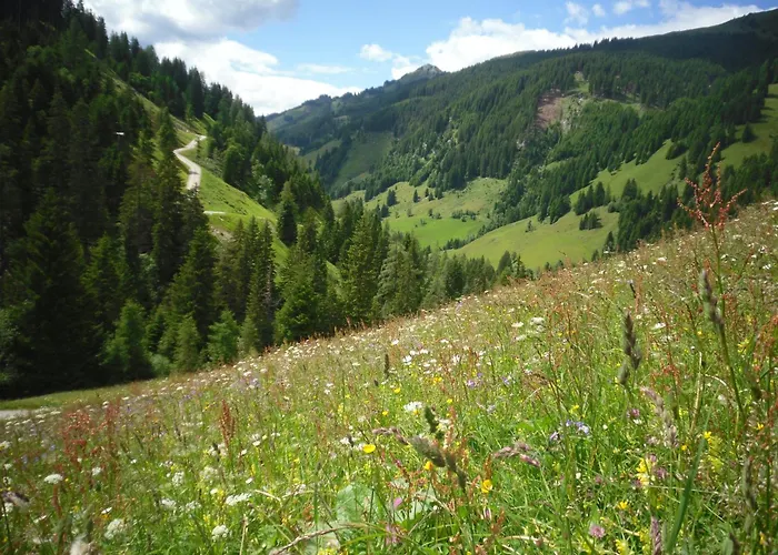 Lejlighed Bauernhof Klausbauer